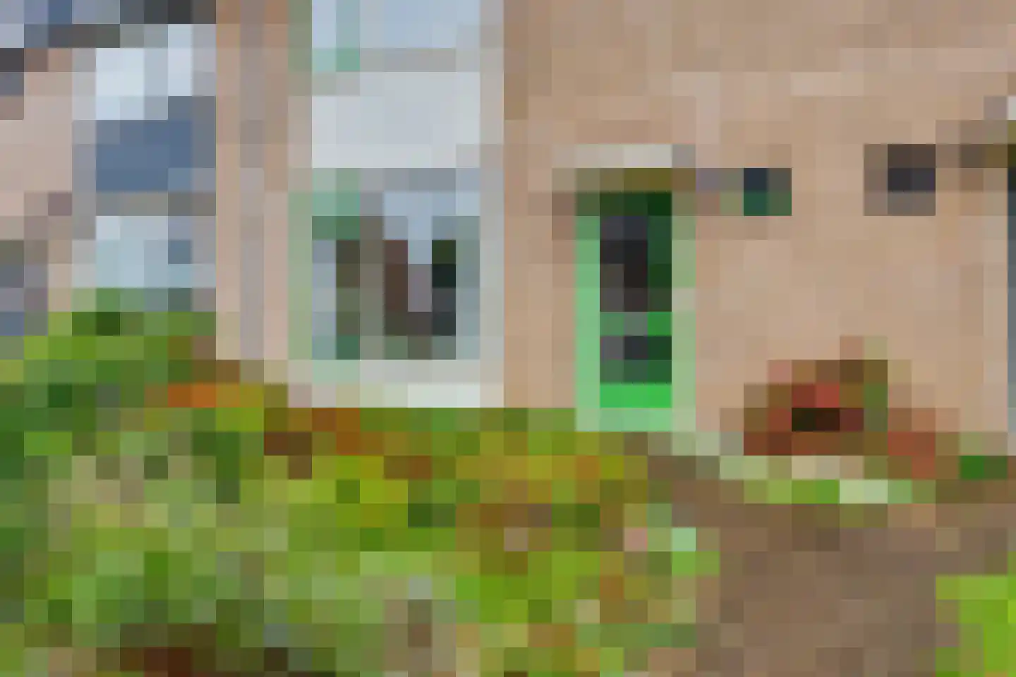 Prof. Kranenburglaan 13 Baarn thumbnail 5