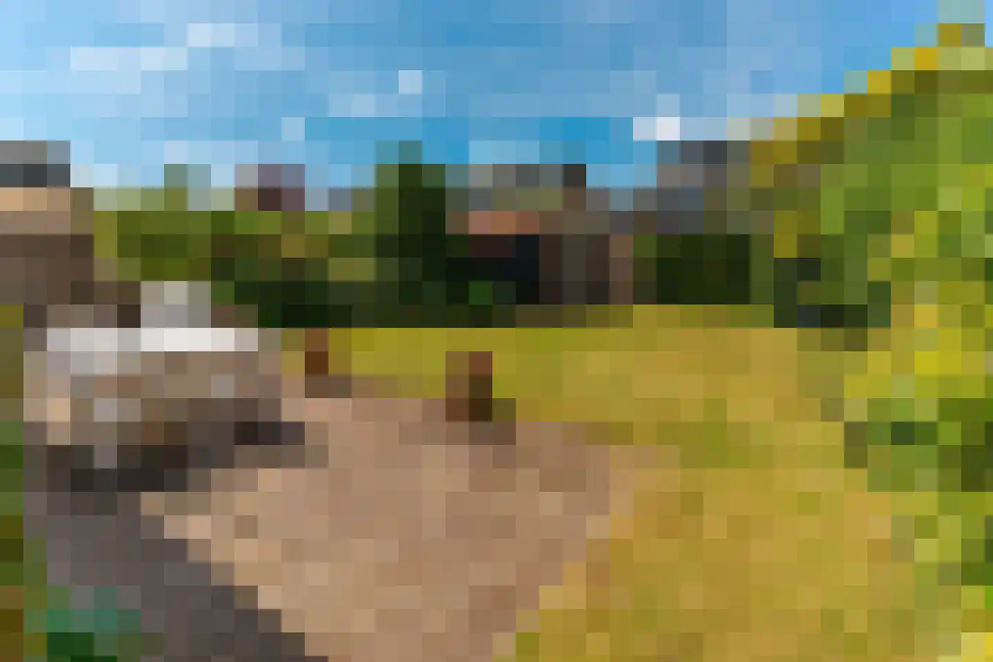 Prof. Kranenburglaan 15 Baarn thumbnail 11