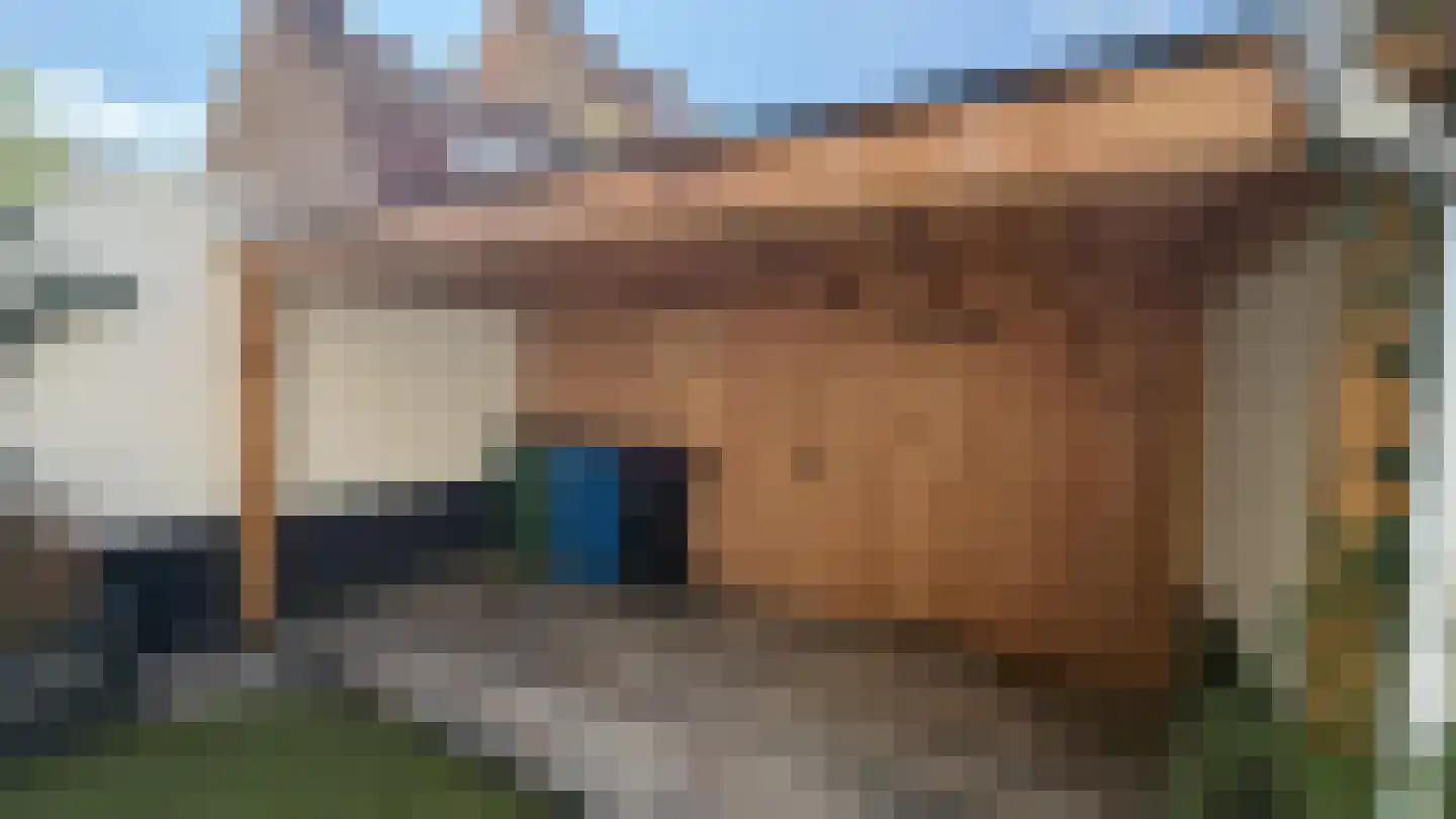 Prof. Krausstraat 76 Delft thumbnail 14