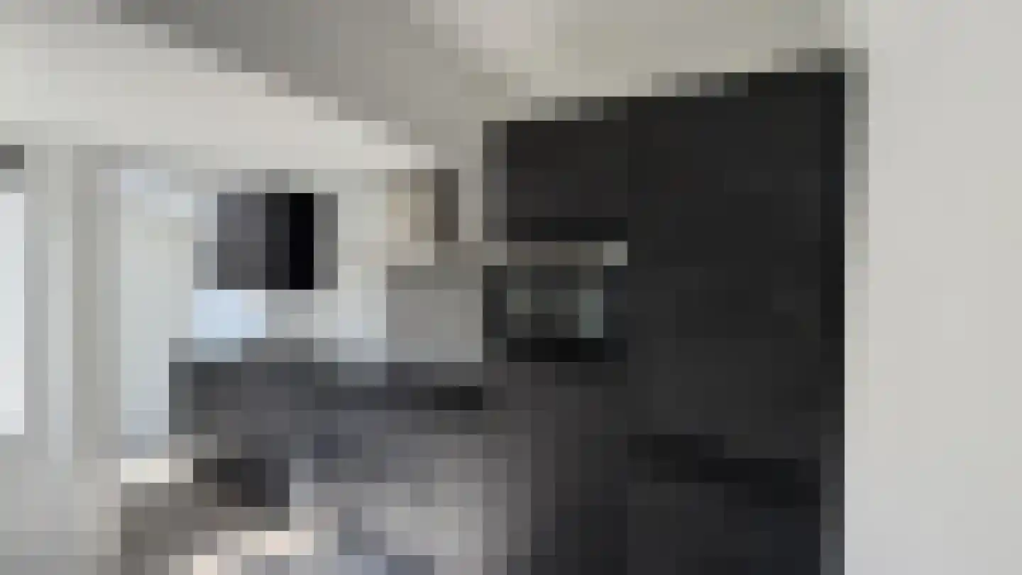 Prof. Krausstraat 76 Delft thumbnail 4