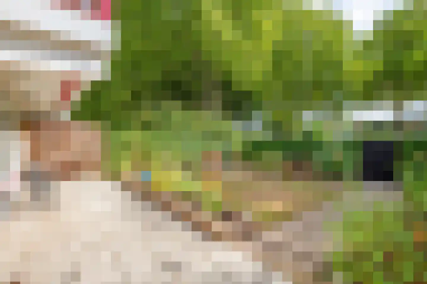 Prof. Lambertstraat 10 Heerlen thumbnail 21