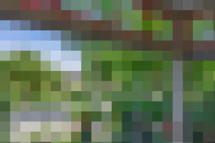 Prof. Leonard Fuchslaan 14 Utrecht thumbnail 16