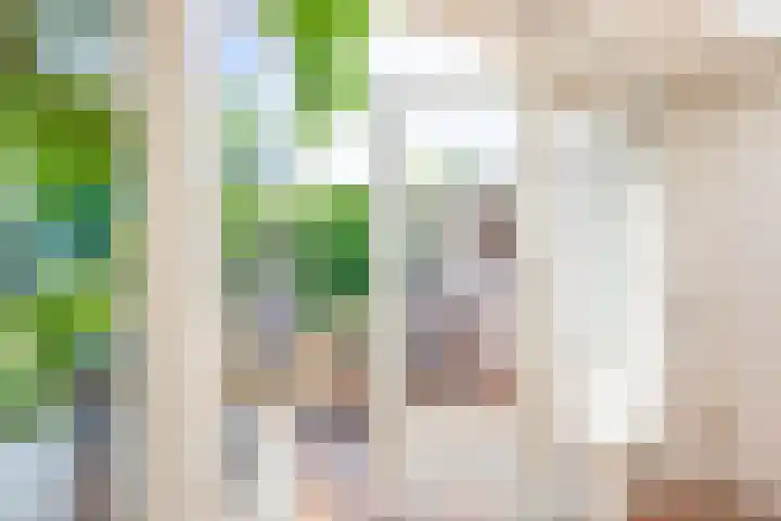 Prof. Leonard Fuchslaan 14 Utrecht thumbnail 26