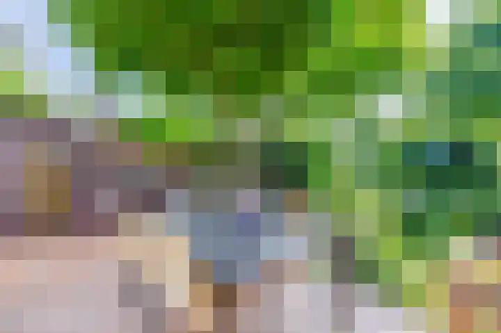 Prof. Leonard Fuchslaan 14 Utrecht thumbnail 27