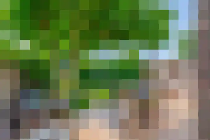 Prof. Leonard Fuchslaan 14 Utrecht thumbnail 29