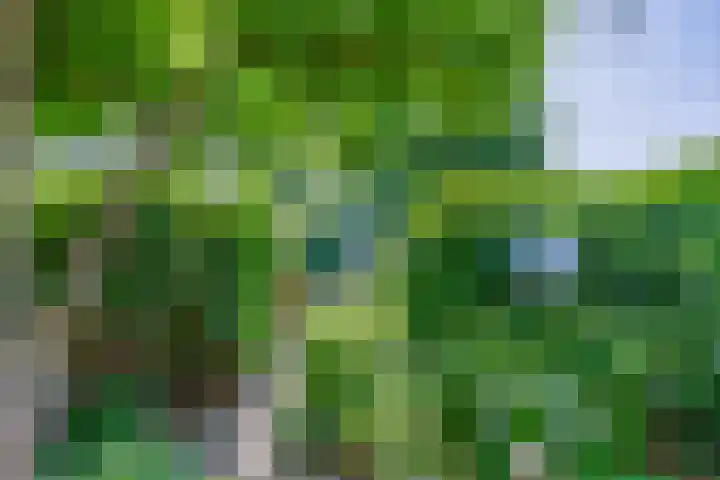 Prof. Leonard Fuchslaan 14 Utrecht thumbnail 30