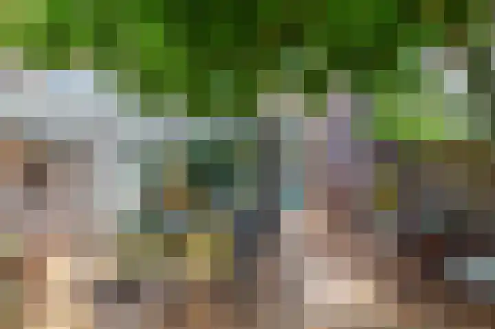 Prof. Leonard Fuchslaan 14 Utrecht thumbnail 31