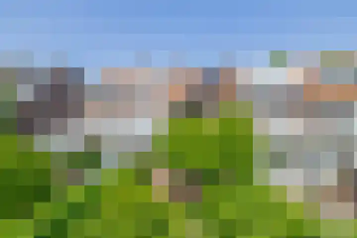 Prof. Leonard Fuchslaan 14 Utrecht thumbnail 35