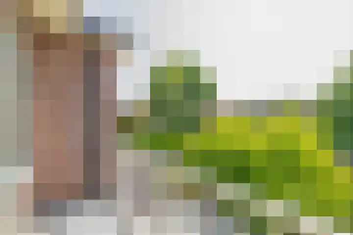 Prof. Leonard Fuchslaan 14 Utrecht thumbnail 39