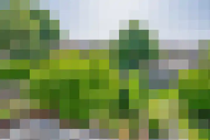 Prof. Leonard Fuchslaan 14 Utrecht thumbnail 40