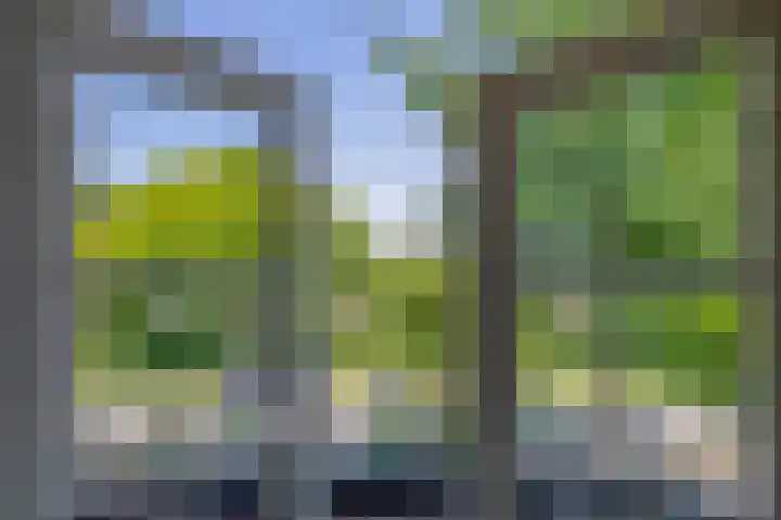 Prof. Leonard Fuchslaan 14 Utrecht thumbnail 48