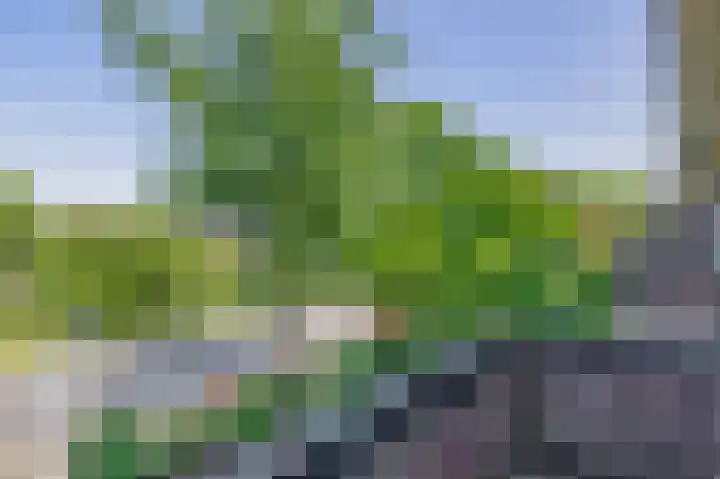 Prof. Leonard Fuchslaan 14 Utrecht thumbnail 49