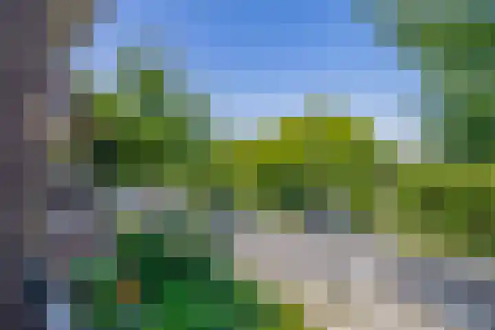 Prof. Leonard Fuchslaan 14 Utrecht thumbnail 50