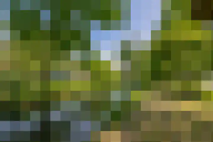 Prof. Leonard Fuchslaan 14 Utrecht thumbnail 56