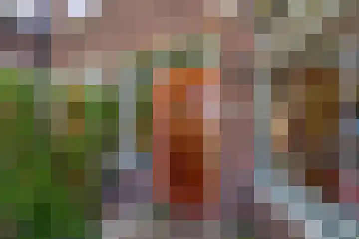 Prof. Leonard Fuchslaan 14 Utrecht thumbnail 8