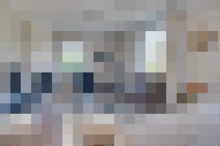 Prof. Lieftincklaan 3 Helmond thumbnail 14