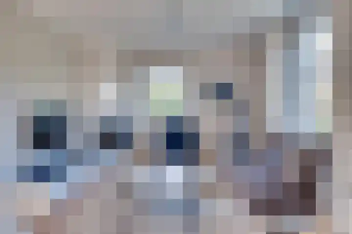 Prof. Lieftincklaan 3 Helmond thumbnail 15