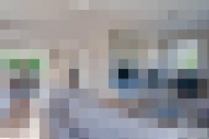 Prof. Lieftincklaan 3 Helmond thumbnail 17