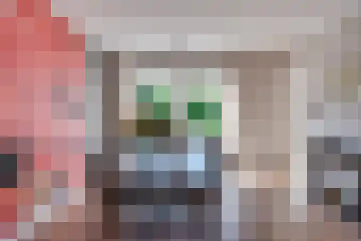 Prof. Lieftincklaan 3 Helmond thumbnail 18