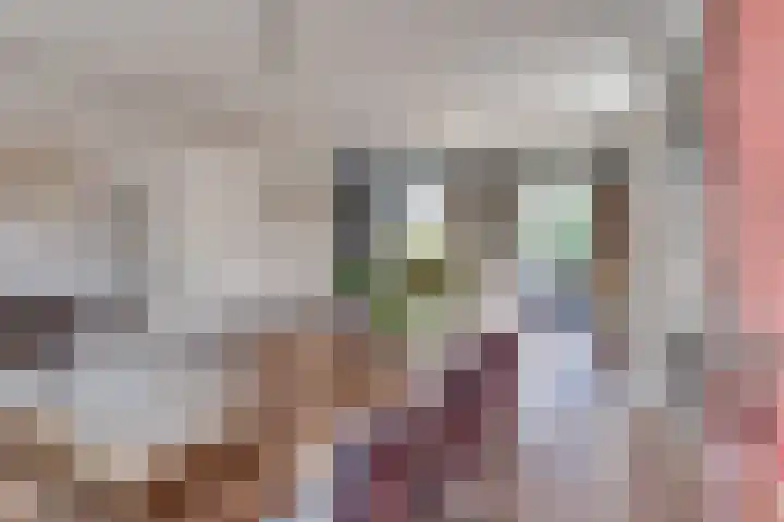 Prof. Lieftincklaan 3 Helmond thumbnail 20