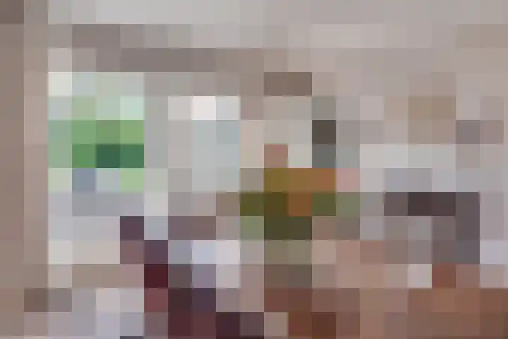 Prof. Lieftincklaan 3 Helmond thumbnail 21