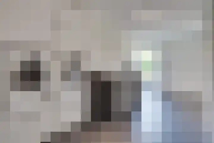 Prof. Lieftincklaan 3 Helmond thumbnail 26