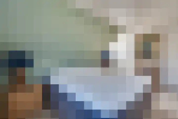 Prof. Lieftincklaan 3 Helmond thumbnail 28