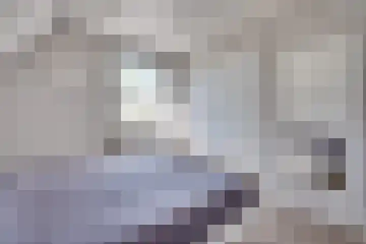 Prof. Lieftincklaan 3 Helmond thumbnail 30