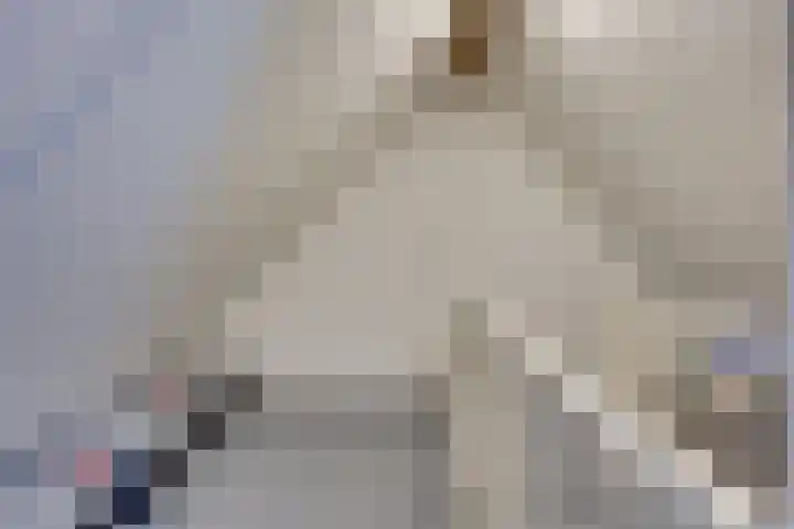 Prof. Lieftincklaan 3 Helmond thumbnail 35