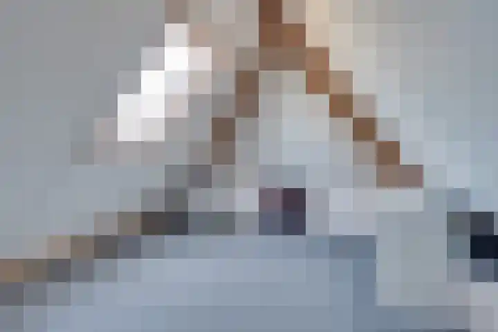 Prof. Lieftincklaan 3 Helmond thumbnail 36