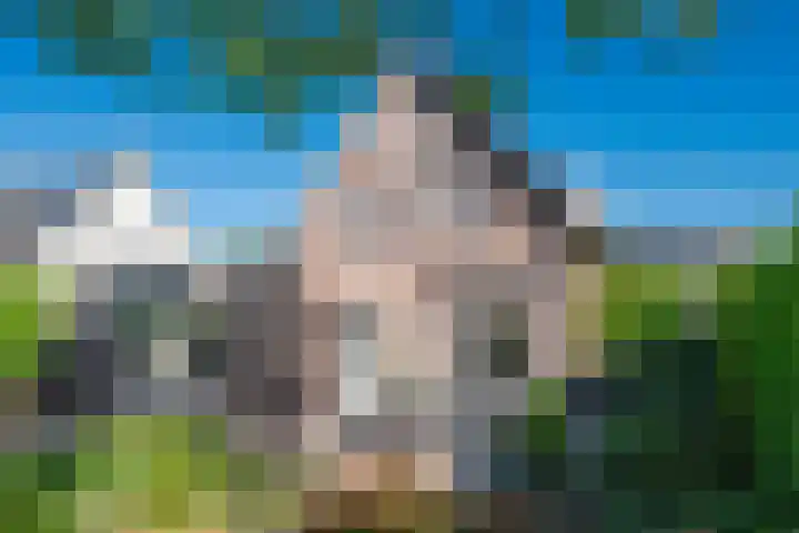 Prof. Lieftincklaan 3 Helmond thumbnail 38