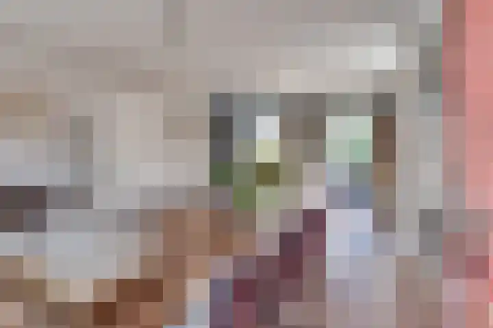 Prof. Lieftincklaan 3 Helmond thumbnail 4