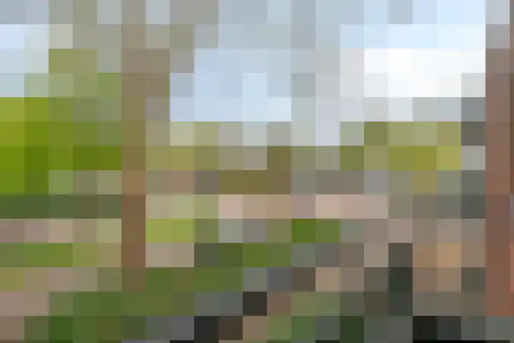 Prof. Lorentzlaan 1 C Soesterberg thumbnail 19