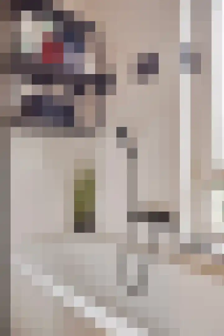 Prof. Lorentzlaan 13 Soesterberg thumbnail 21