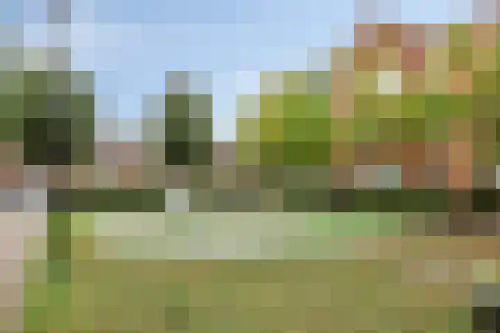 Prof. Lorentzlaan 13 Soesterberg thumbnail 30