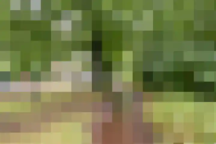 Prof. Lorentzlaan 13 Soesterberg thumbnail 34