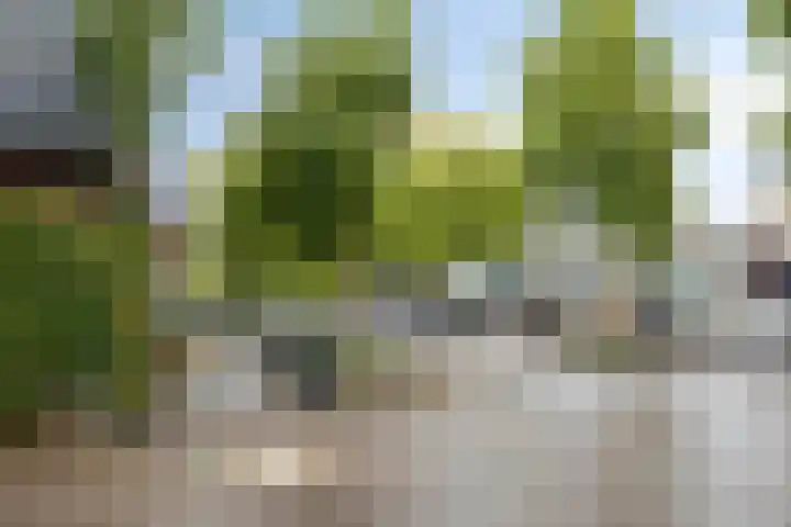 Prof. Lorentzlaan 13 Soesterberg thumbnail 35