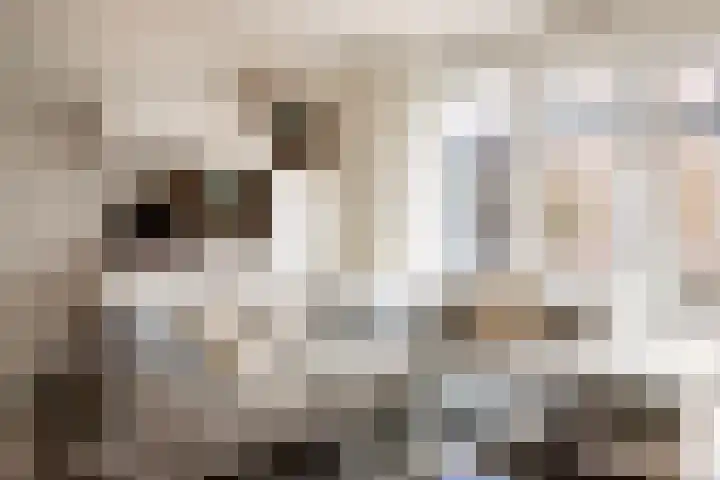 Prof. Lorentzlaan 13 Soesterberg thumbnail 5