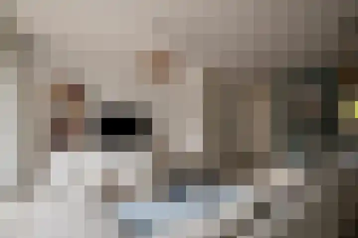 Prof. Lorentzlaan 13 Soesterberg thumbnail 7