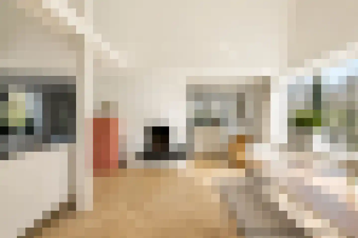 Prof. Lorentzlaan 195 Zeist thumbnail 18