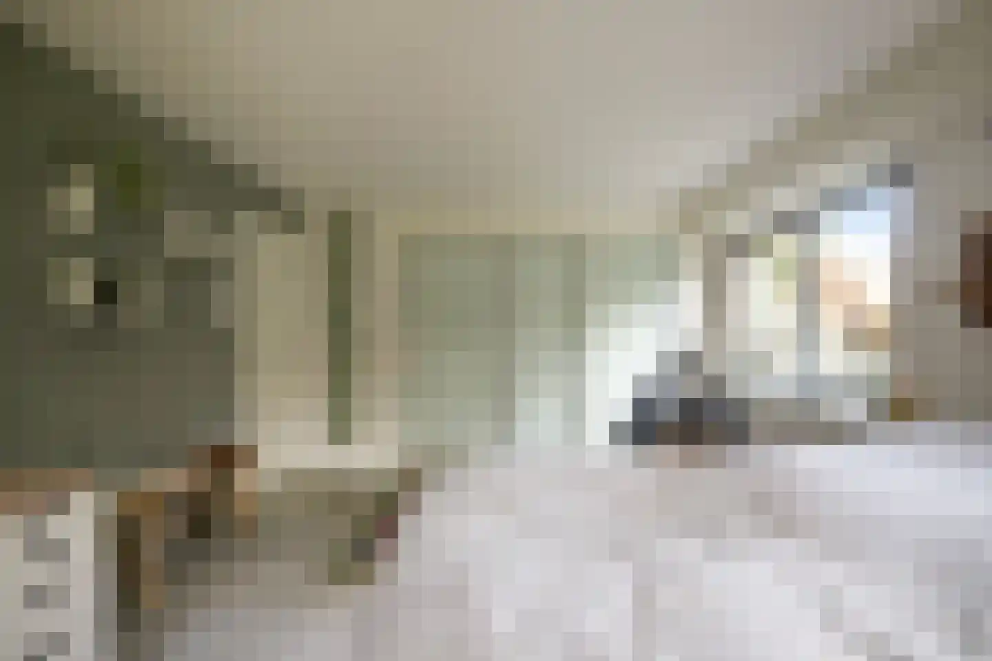 Prof. Lorentzlaan 195 Zeist thumbnail 36