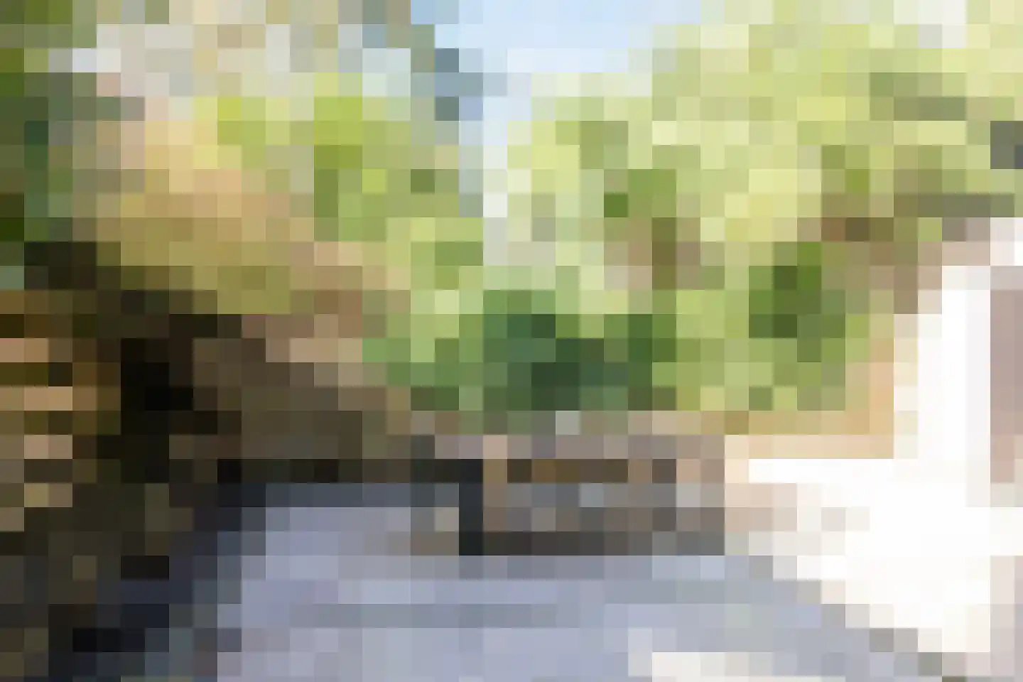 Prof. Lorentzlaan 195 Zeist thumbnail 51