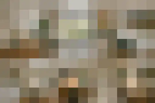 Prof. Lorentzlaan 195 Zeist thumbnail 52