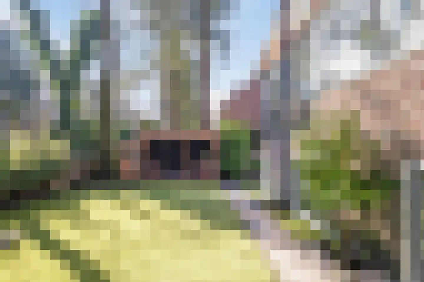 Prof. Lorentzlaan 195 Zeist thumbnail 52