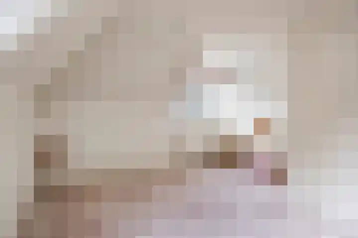 Prof. Lorentzlaan 2 C Soesterberg thumbnail 25
