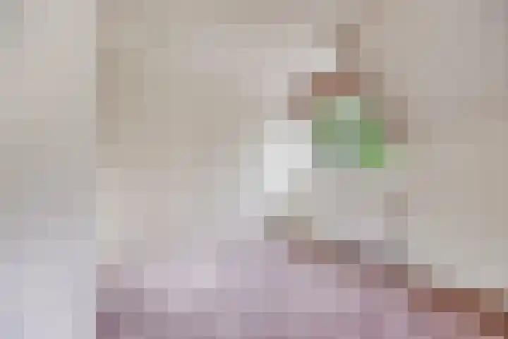 Prof. Lorentzlaan 2 C Soesterberg thumbnail 26