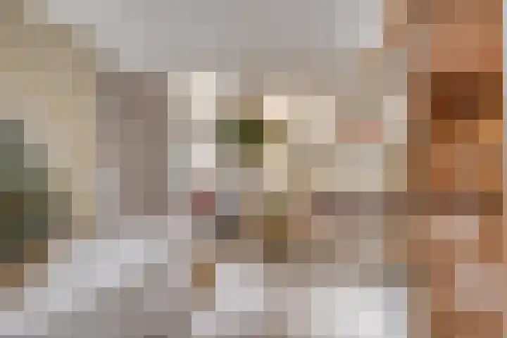 Prof. Lorentzlaan 2 C Soesterberg thumbnail 32