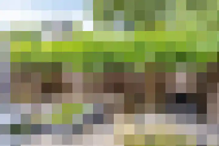 Prof. Lorentzlaan 2 C Soesterberg thumbnail 35