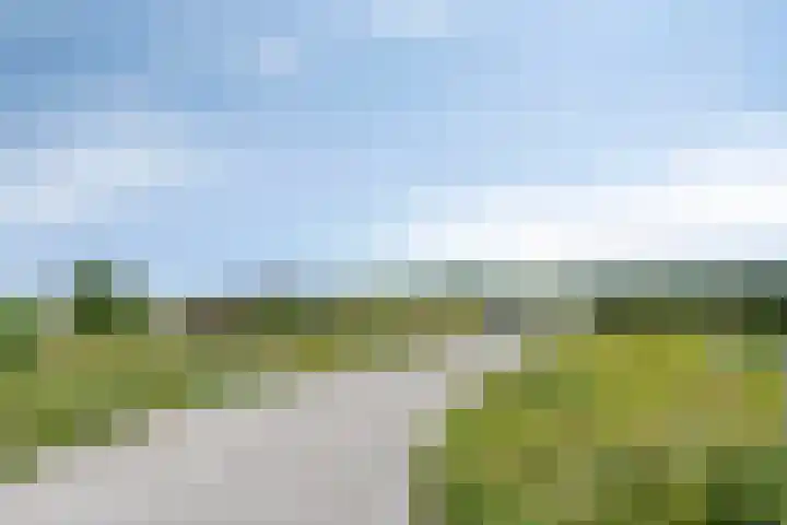 Prof. Lorentzlaan 2 C Soesterberg thumbnail 42