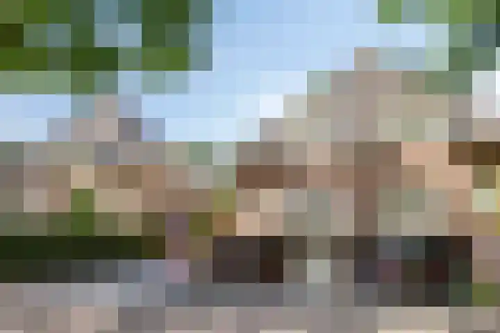 Prof. Lorentzlaan 2 C Soesterberg thumbnail 5